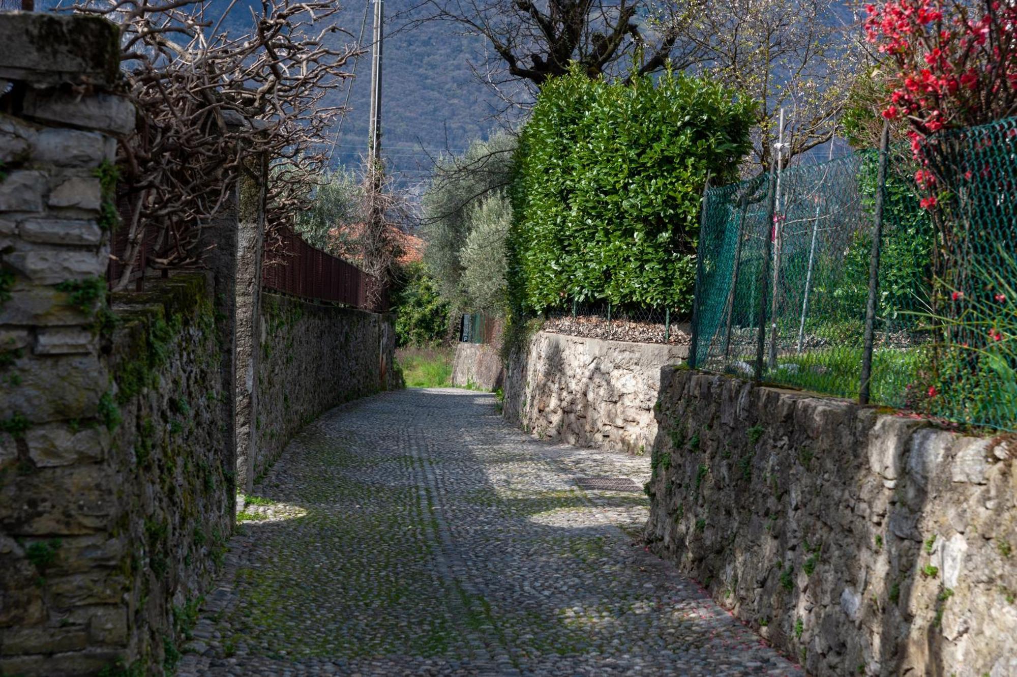 Casa Ilde Appartement Lierna Buitenkant foto